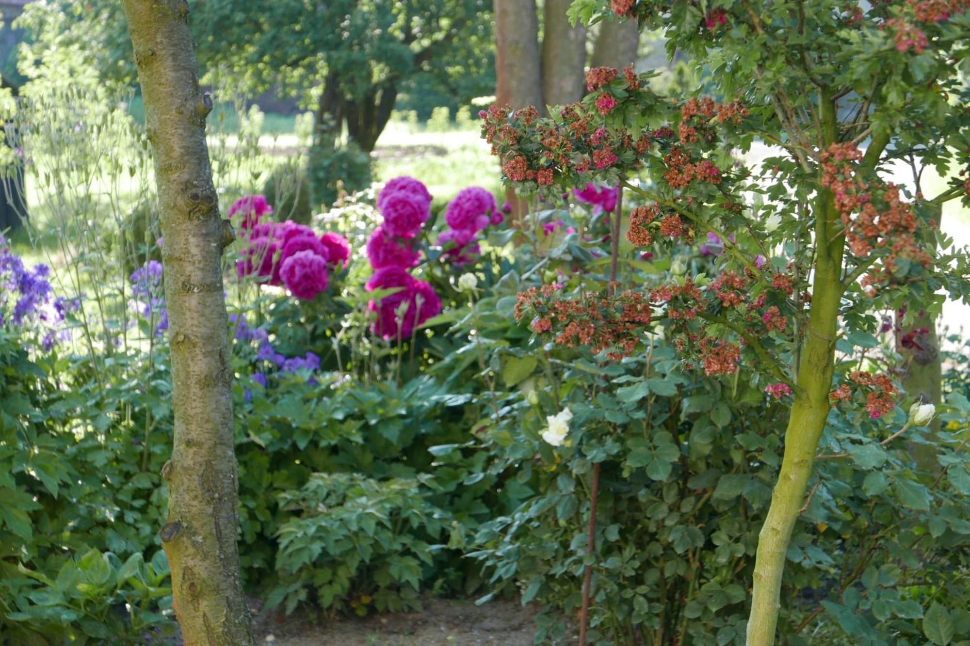 Roze I Jablonie Agroturystyka Gryfow Slaski Exterior photo